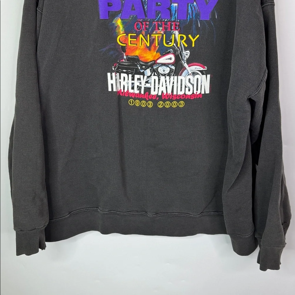 Vintage Harley Davidson Party Of The Century Black  Hooded Sweatshirt 2XL 2003
